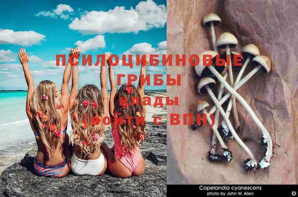 дурь Сафоново