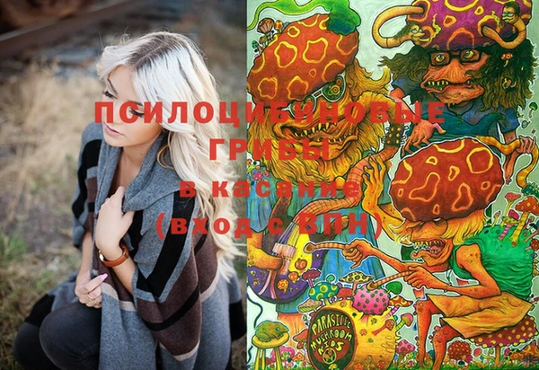 дурь Сафоново