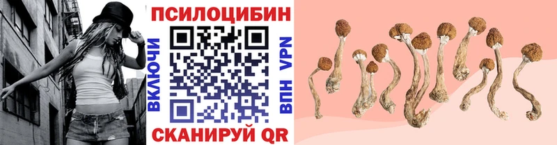 Купить закладки  Камызяк  Псилоцибиновые грибы MAGIC MUSHROOMS 